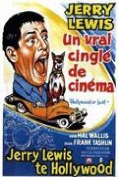 Un Vrai cinglé de cinema (Hollywood or Bust) flemmix