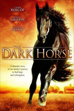 L'Etalon noir : Le défi de la dernière chance (The Dark Horse) flemmix