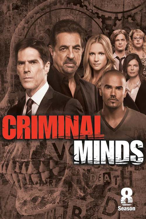 Esprits Criminels - Saison 8 flemmix
