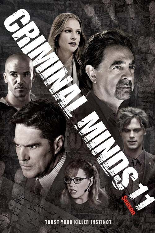Esprits Criminels - Saison 11 flemmix