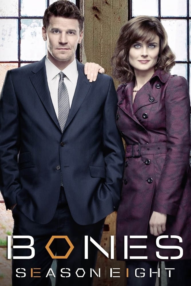 Bones - Saison 8 flemmix
