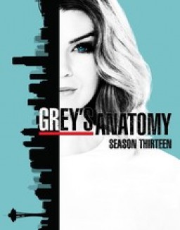 Grey's Anatomy - Saison 13 flemmix