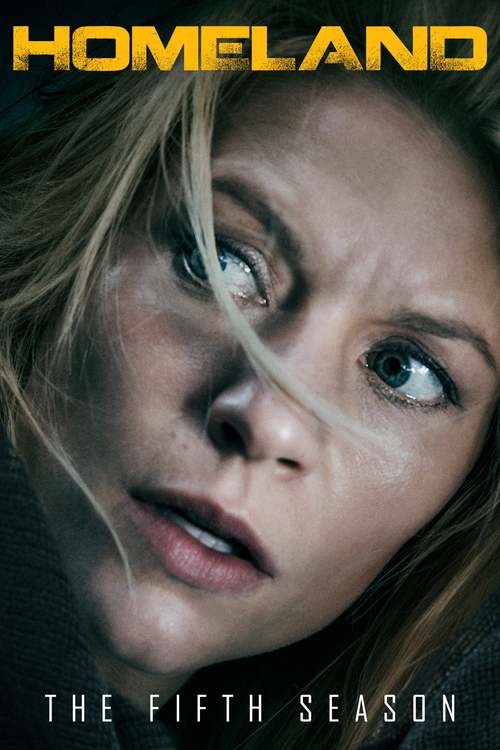 Homeland - Saison 5 flemmix