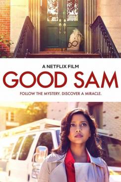 Good Sam flemmix