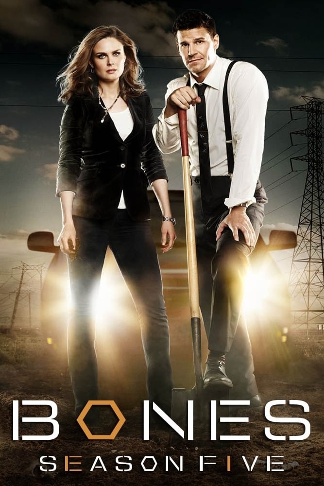 Bones - Saison 5 flemmix
