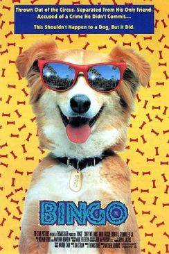 Bingo flemmix