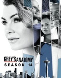 Grey's Anatomy - Saison 14 flemmix