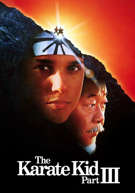 Karate Kid 3 flemmix