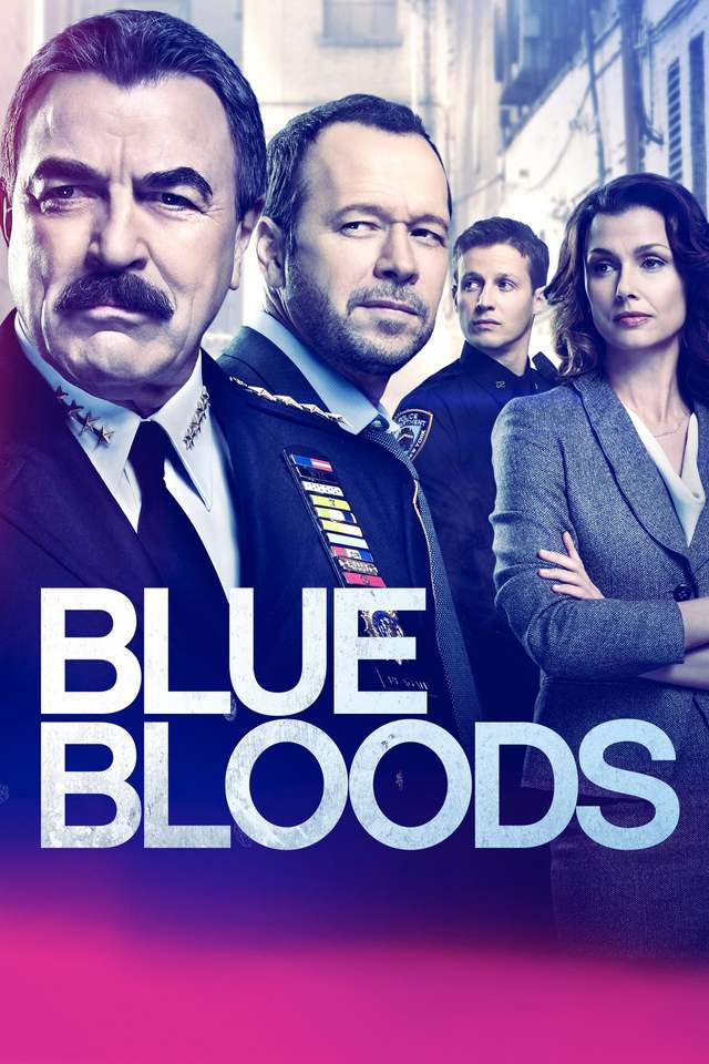 Blue Bloods - Saison 9 flemmix