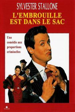 L'Embrouille est dans le sac flemmix