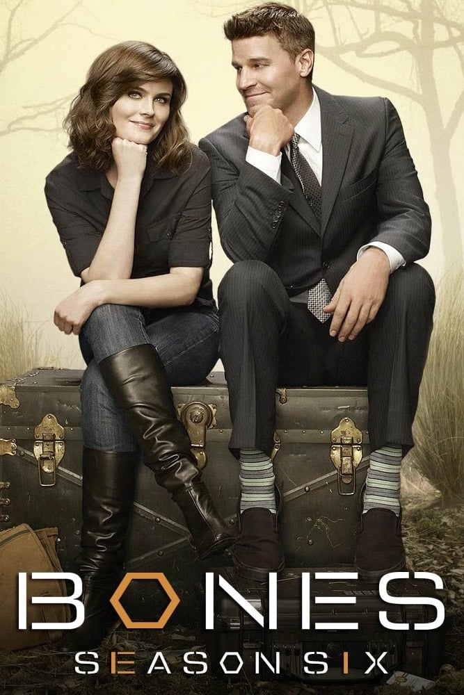 Bones - Saison 6 flemmix