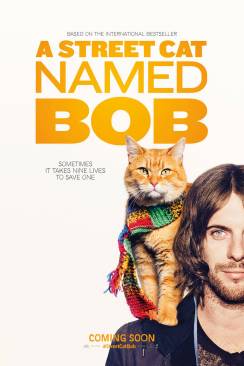 A Street Cat Named Bob flemmix