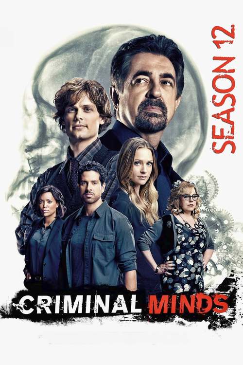 Esprits Criminels - Saison 12 flemmix