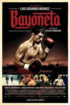 Bayoneta flemmix
