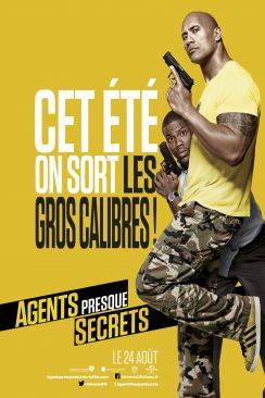 Agents presque secrets flemmix