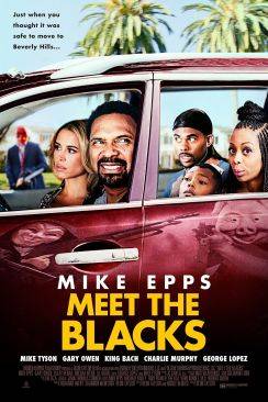 Meet The Blacks flemmix
