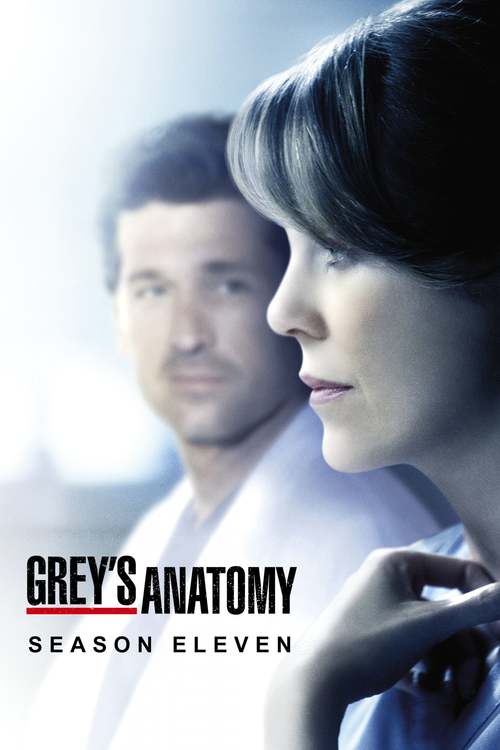 Grey's Anatomy - Saison 11 flemmix