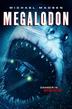 Megalodon flemmix