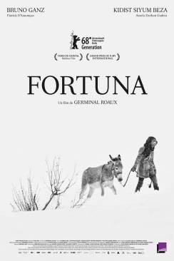 Fortuna flemmix