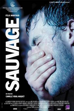Sauvage flemmix