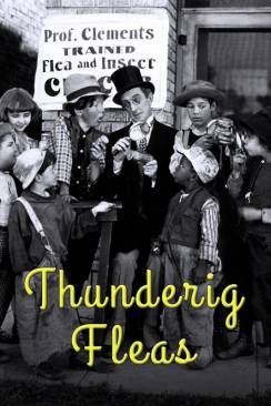 Un Mariage mouvementé (Thundering Fleas) flemmix