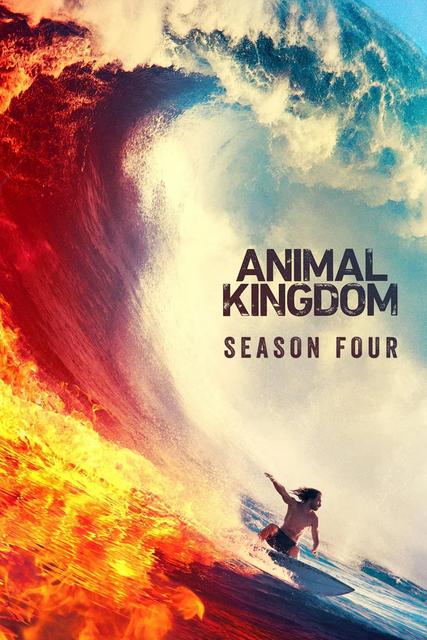 Animal Kingdom - Saison 4 flemmix