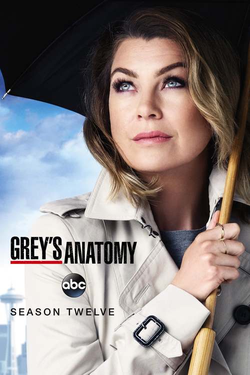 Grey's Anatomy - Saison 12 flemmix