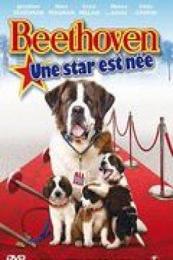 Beethoven: une star est née (Beethoven Big's break) flemmix