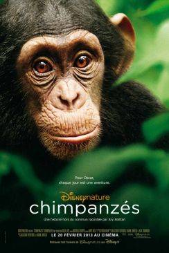 Chimpanzés (Chimpanzee) flemmix