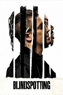 Blindspotting flemmix