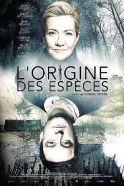 L'origine des espèces flemmix