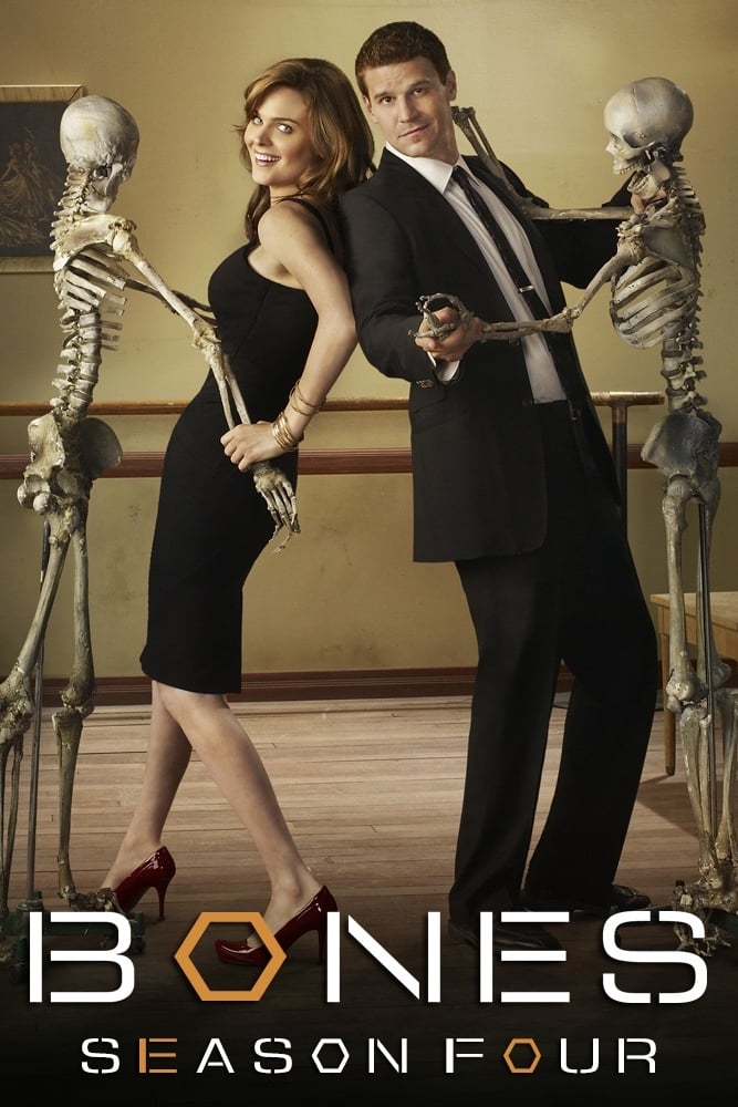 Bones - Saison 4 flemmix