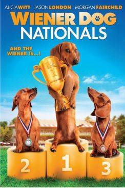 Shelly, champion à 4 pattes (Wiener Dog Nationals) flemmix