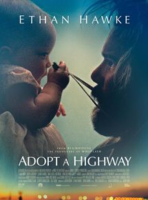 Adopt A Highway flemmix