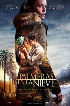 Palmeras en la nieve flemmix
