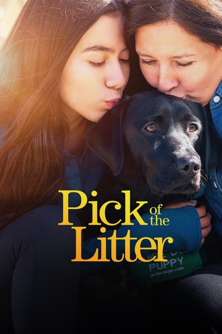 Pick of the Litter - Saison 1 flemmix