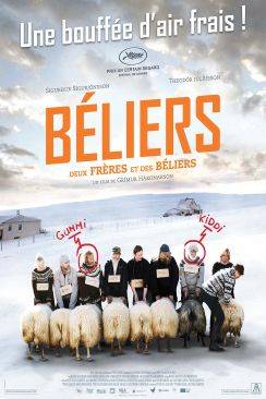Béliers (Hrútar) flemmix