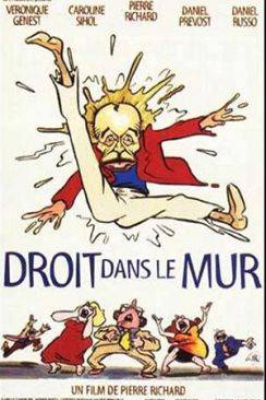 Droit dans le Mur flemmix
