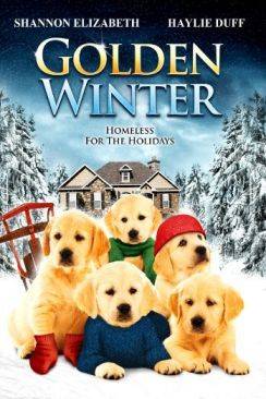 Un Noël de rêve (Golden Winter) flemmix