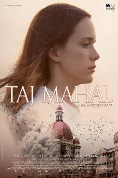 Taj Mahal flemmix