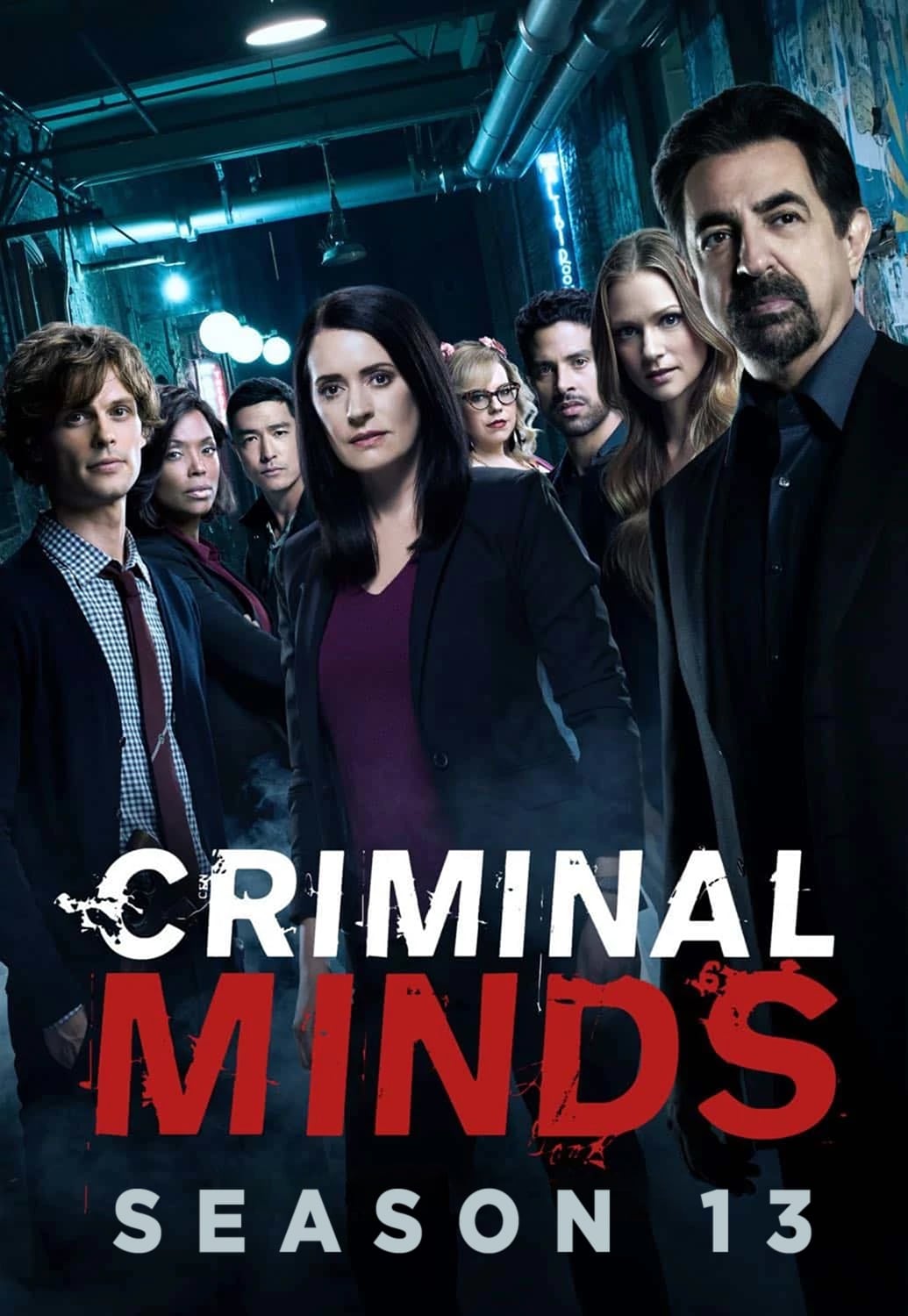 Esprits Criminels - Saison 13 flemmix