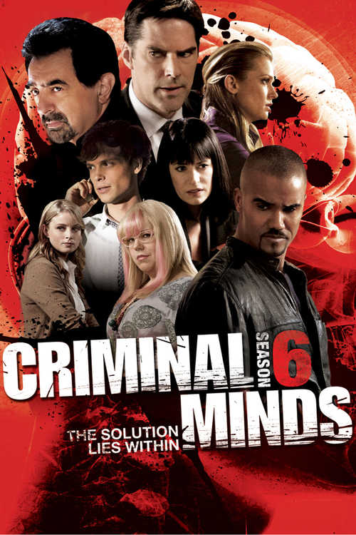 Esprits Criminels - Saison 6 flemmix