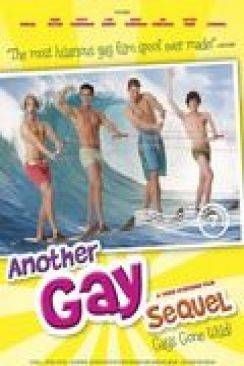 Another Gay Sequel: Gays Gone Wild! flemmix