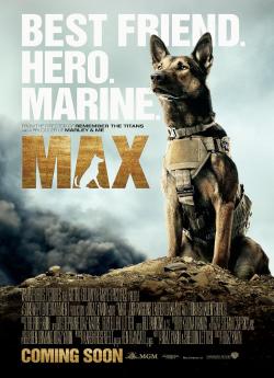 Max flemmix