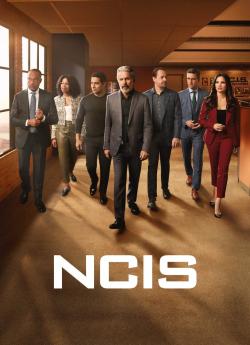 NCIS : Enquêtes spéciales - Saison 22 flemmix