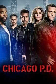 Chicago Police Department. - Saison 8 flemmix