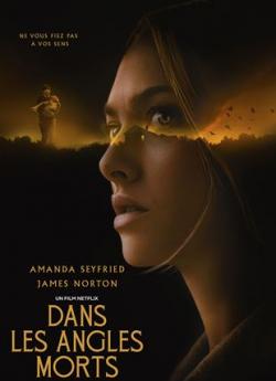 Dans les angles morts flemmix