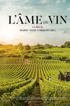 L'Âme du vin flemmix