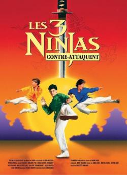 Ninja kids 2 Les 3 ninjas contre-attaquent flemmix