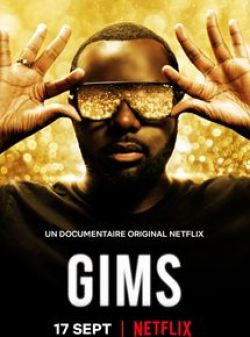 GIMS: On the Record flemmix
